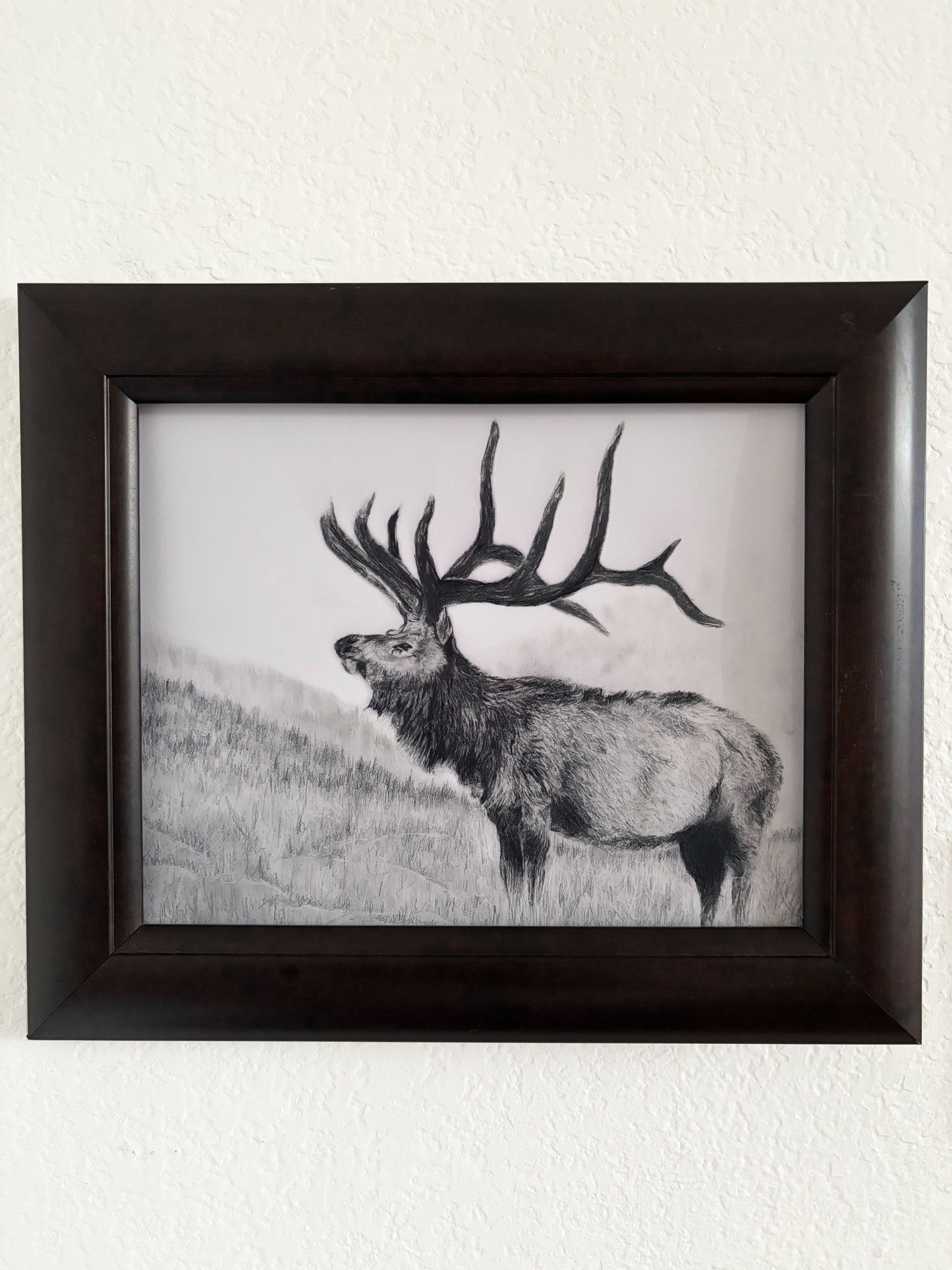 Elk Black & White Fine Art Print