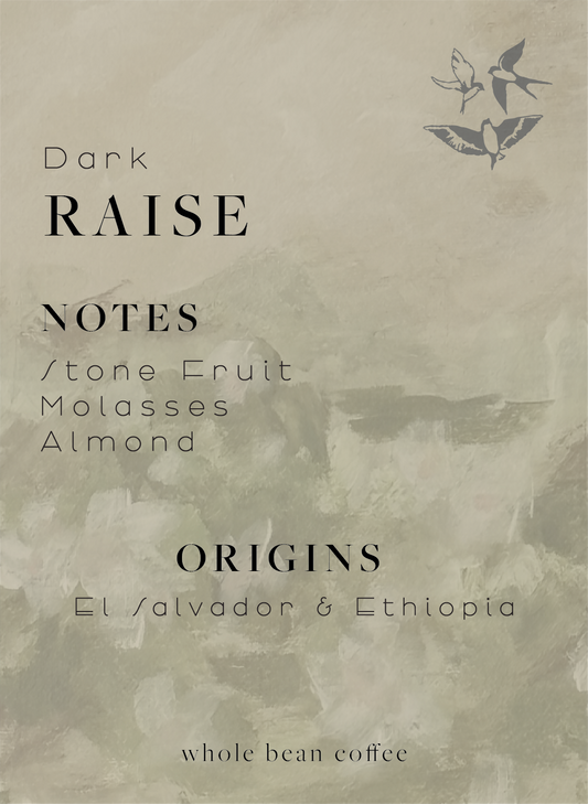 Raise Dark Blend